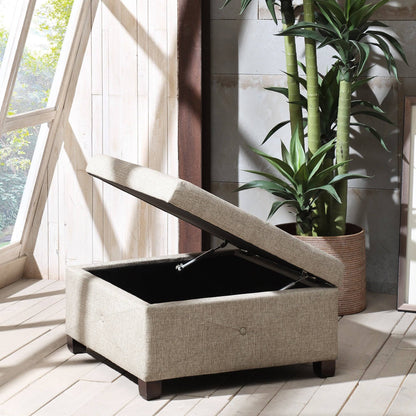 Larry Ottoman with Storage